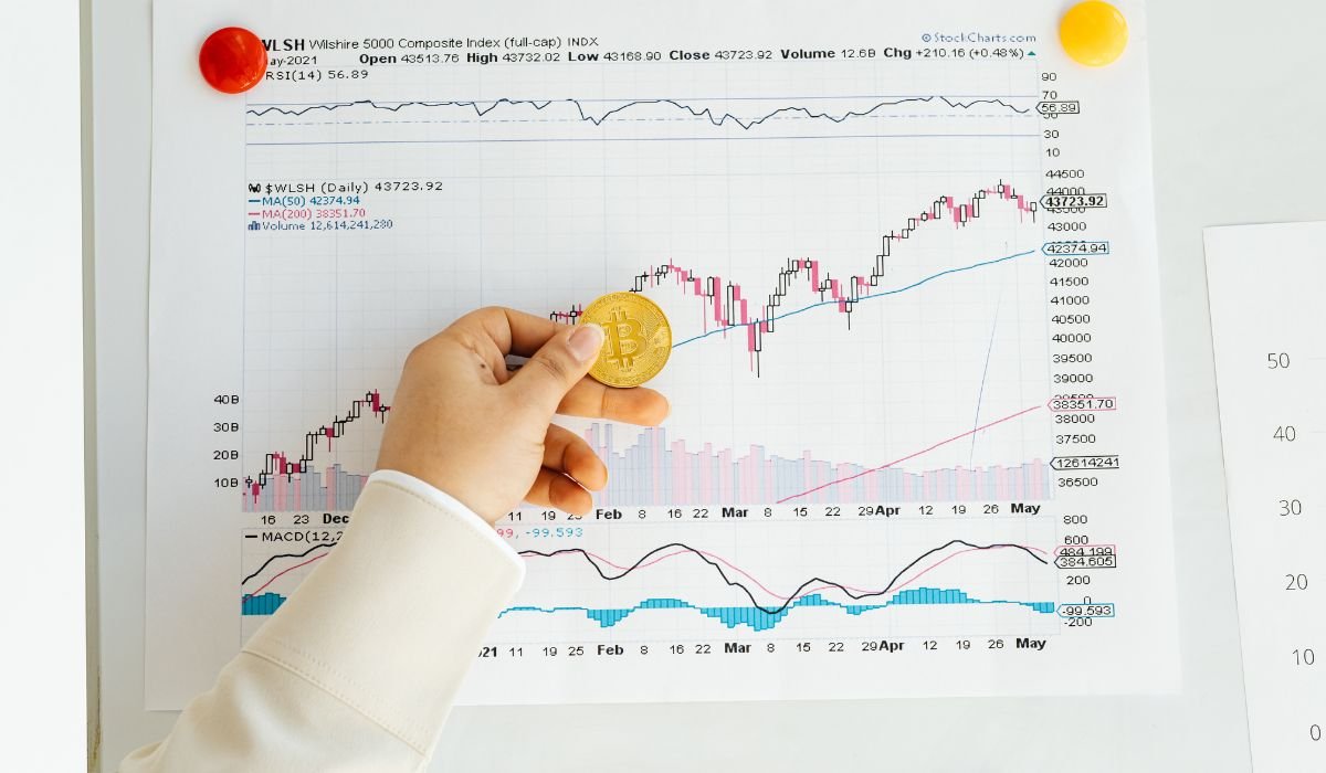 Investor Facilitation Services